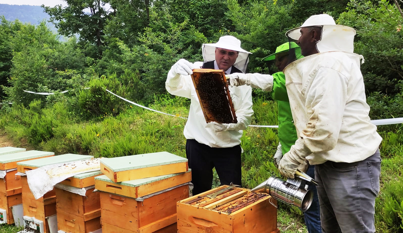 Bal54 dünyaya açılıyor