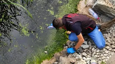 Balık ölümleri için inceleme başlatıldı