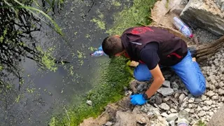 Balık ölümleri için inceleme başlatıldı