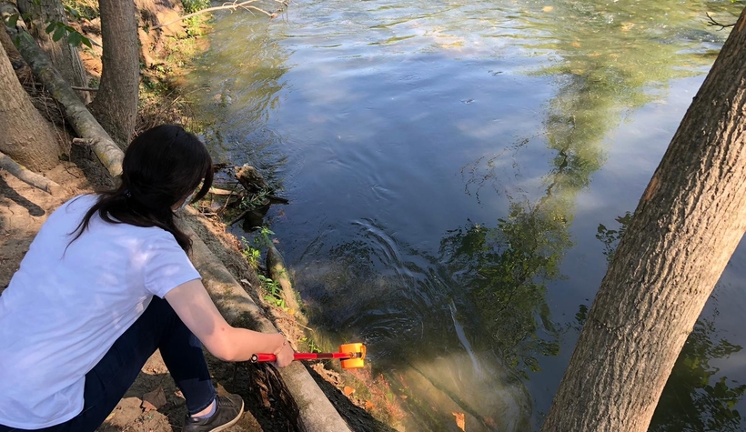 Balık ölümlerin yaşandığı dereden numuneler alındı