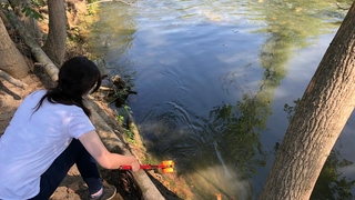 Balık ölümlerin yaşandığı dereden numuneler alındı
