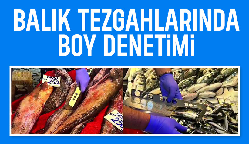 Balık pazarında sıkı denetim