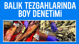 Balık pazarında sıkı denetim