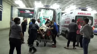 Balık sevgisi canından etti