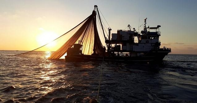 Balık sezonu 1 Eylül'de başlıyor