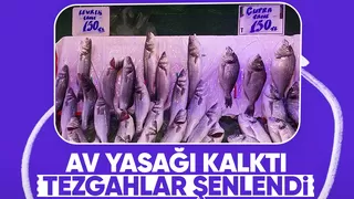 Balık sezonu açıldı: Tezgahlar taze balıkla doldu