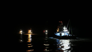 Kasalar dolusu palamutla döndüler