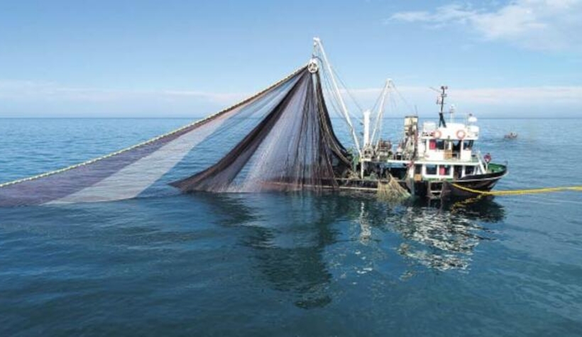 Balık sezonu bu gece açılıyor!