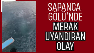 Balıkçılar kayda aldı; Sapanca Gölü’nde gizemli fokurdama