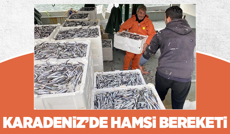Balıkçılar tonlarca hamsiyle döndü