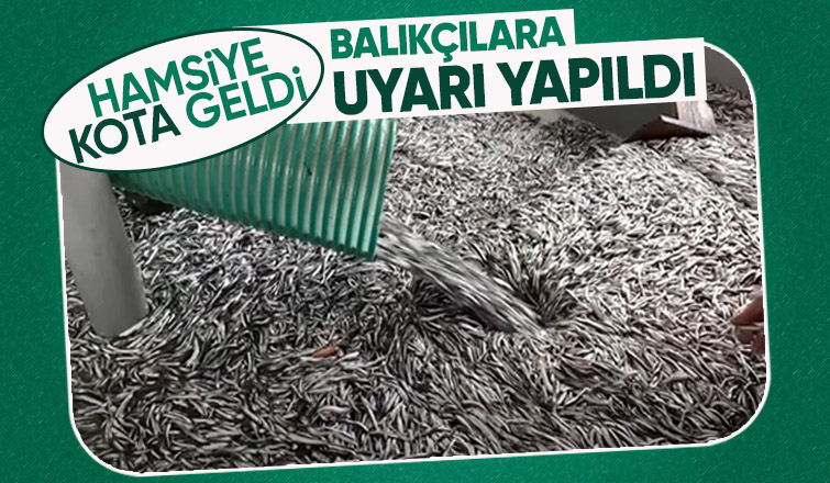 Balıkçılara hamsi kotası uyarısı; 400 bin ton...