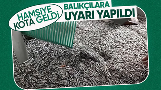 Balıkçılara hamsi kotası uyarısı; 400 bin ton...
