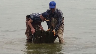 Balıkçıların ağlarına takıldı, 2 bin yıllık