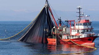 Balıkçıların gözü 1 Eylül'de