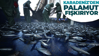 Balıkçıların palamut mesaisi sürüyor