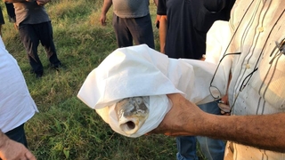 Balıklar öldü, vatandaş isyan etti