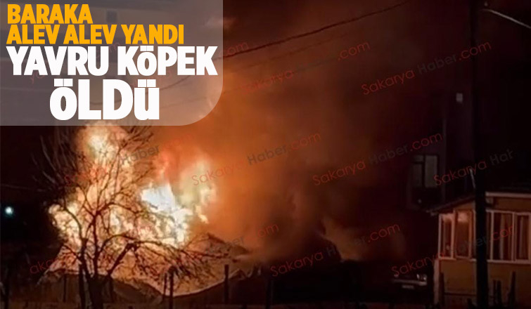 Baraka küle döndü