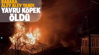 Baraka küle döndü