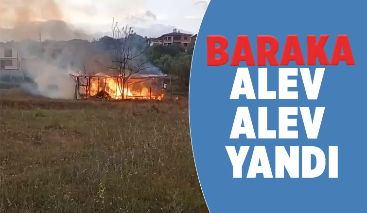 Baraka küle döndü