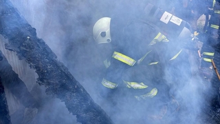 Barakada yangın çıktı, 11 köpek telef oldu