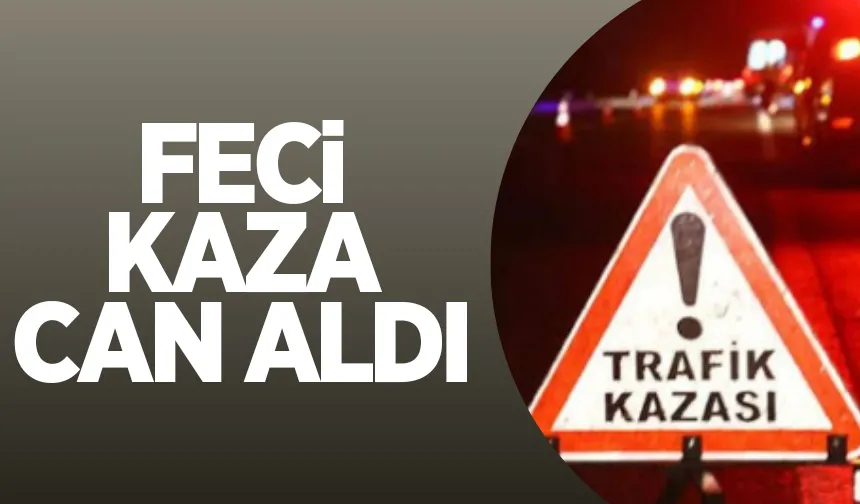 Bariyerlere çarpan araçta hayatını kaybetti