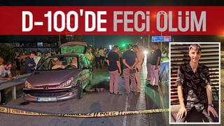 Bariyerlere çarpan otomobilin sürücüsü öldü