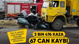 Başıboş sokak köpekleri 3 bin 476 trafik kazasına neden oldu