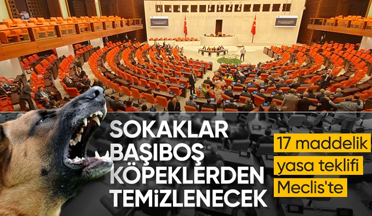 Başıboş sokak köpeklerine ilişkin teklif TBMM'ye sunuldu