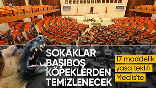 Başıboş sokak köpeklerine ilişkin teklif TBMM'ye sunuldu