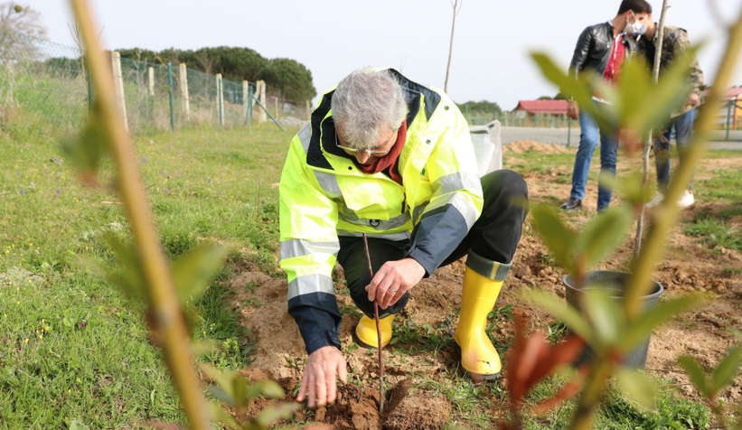Başkan Yüce, ahududu fidanı dikti