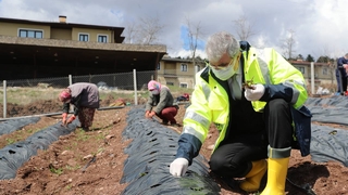 Başkan Yüce çilek fidelerini toprakla buluşturdu