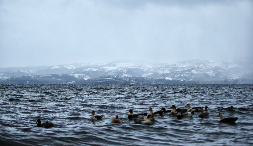 Başkan Yüce'den Sapanca Gölü paylaşımı