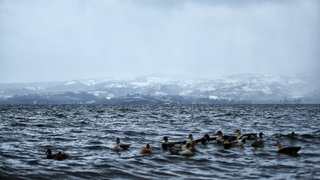 Başkan Yüce'den Sapanca Gölü paylaşımı