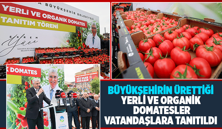 Başkan Yüce: Seracılık Mükemmeliyet Merkezi Türkiye’de örnektir