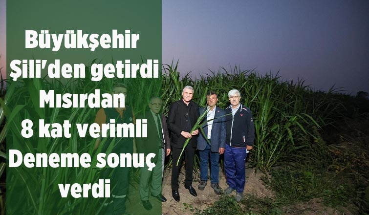 Başkan Yüce Şili'den getirtmişti; İlk hasadı yapıldı