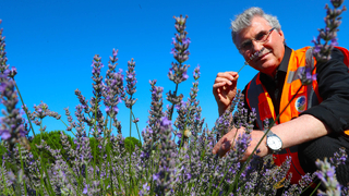 Başkan Yüce’den 1 Mayıs’ta önemli mesaj