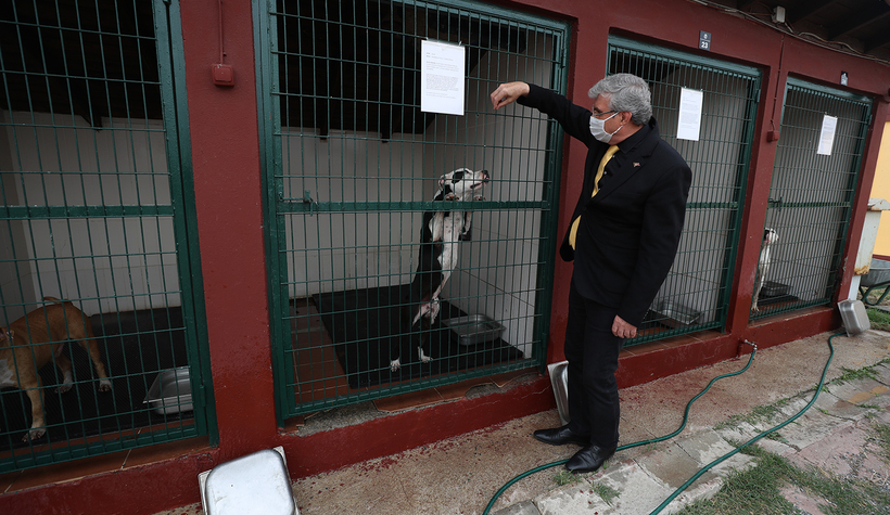 Başkan Yüce’den Satın alma sahiplen çağrısı