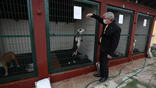 Başkan Yüce’den Satın alma sahiplen çağrısı