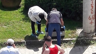 Başsız cesetlerin uyrukları belirlendi