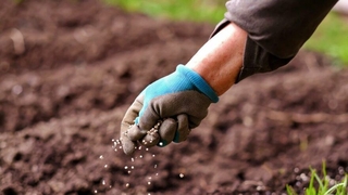 Bayraktar'dan acil önlem çağrısı