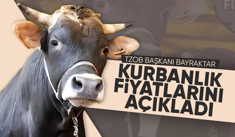 Bayraktar'dan kurbanlık fiyatı açıklaması