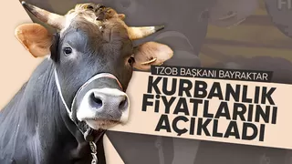 Bayraktar'dan kurbanlık fiyatı açıklaması