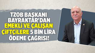 Bayraktar: Emekli ve çalışan çiftçilere 5 bin lira ödensin