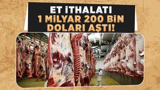 Bayraktar: Girdilerde en fazla artış yüzde mazotta