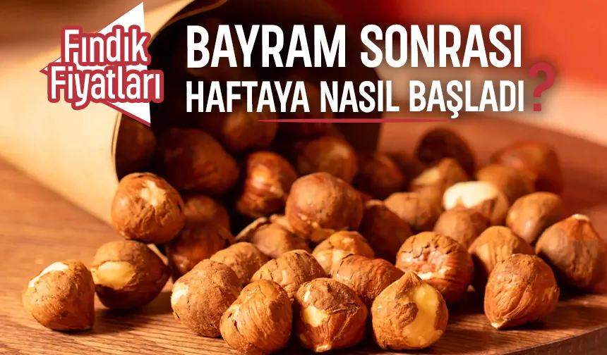 Bayram sonrası fındık fiyatlarında son durum  Serbest piyasada fındık fiyatları merak ediliyor. 