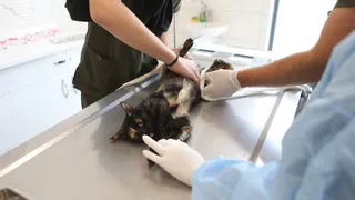 Bayramda görev yapacak nöbetçi birimler açıklandı