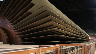 Bazı ağaç ürünleri ihracatı izne bağlandı