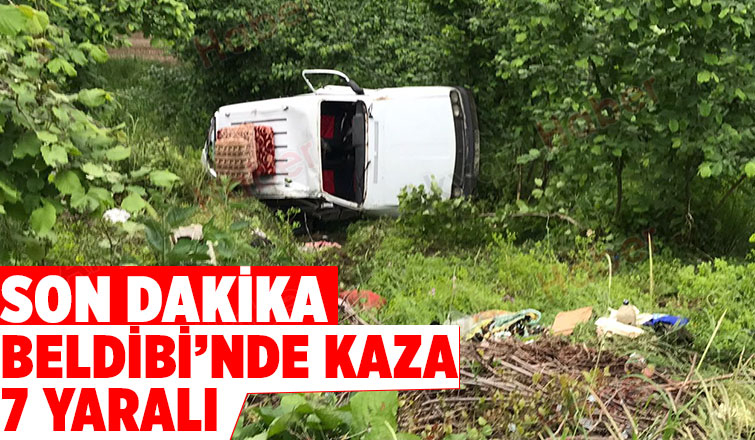 Beldibinde Şarampole Yuvarlandı 3'ü çocuk 7 yaralı