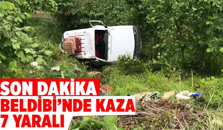 Beldibinde Şarampole Yuvarlandı 3'ü çocuk 7 yaralı