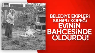 Belediye ekibi evin bahçesindeki sahipli hayvanı öldürdü